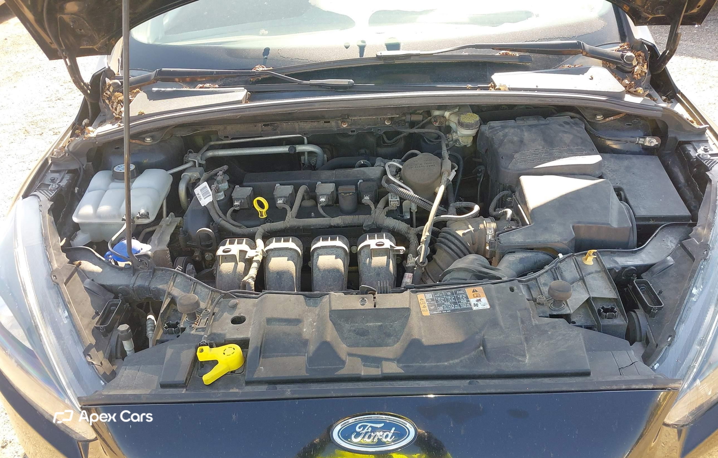 Ford Focus 2016