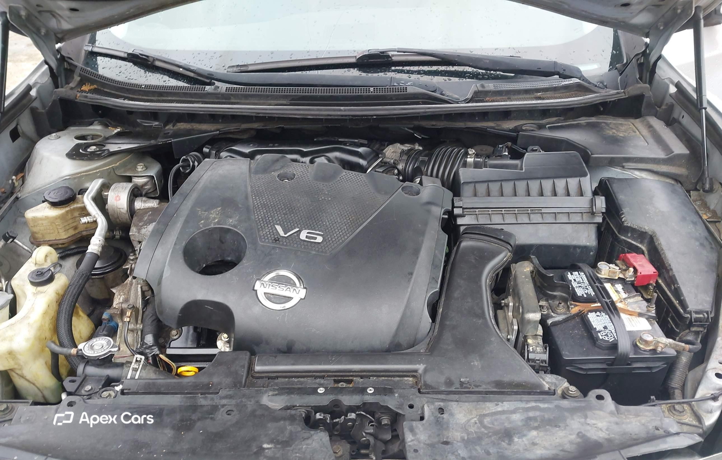 Nissan Maxima 2011