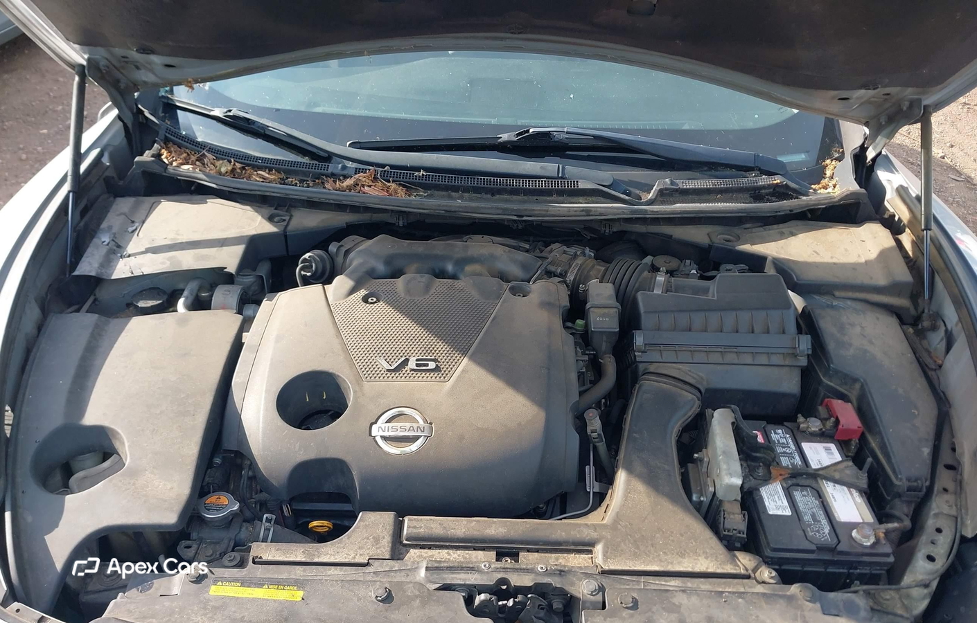 Nissan Maxima 2010