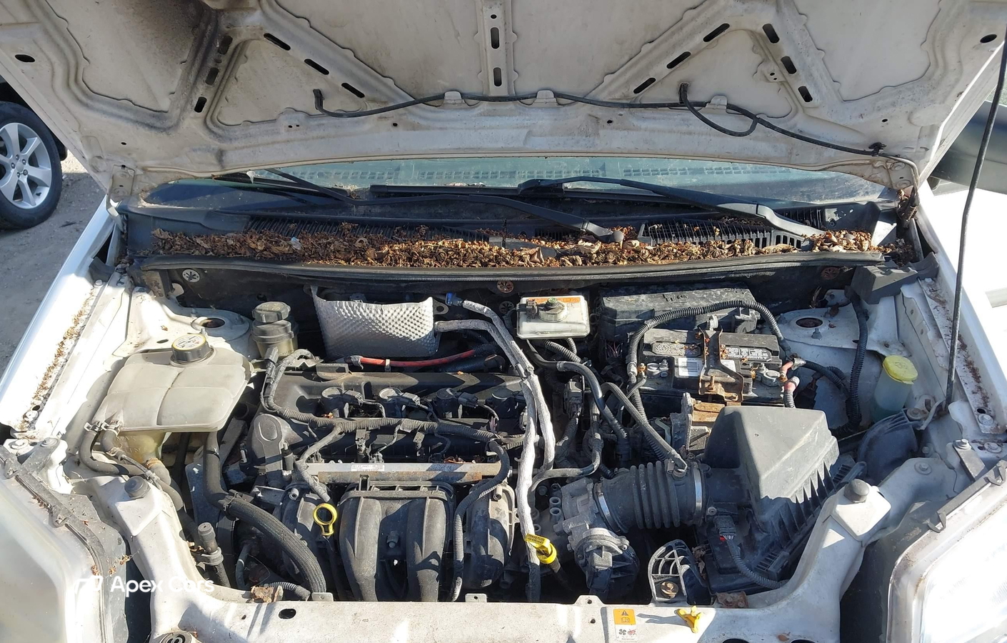 Ford Transit 2011