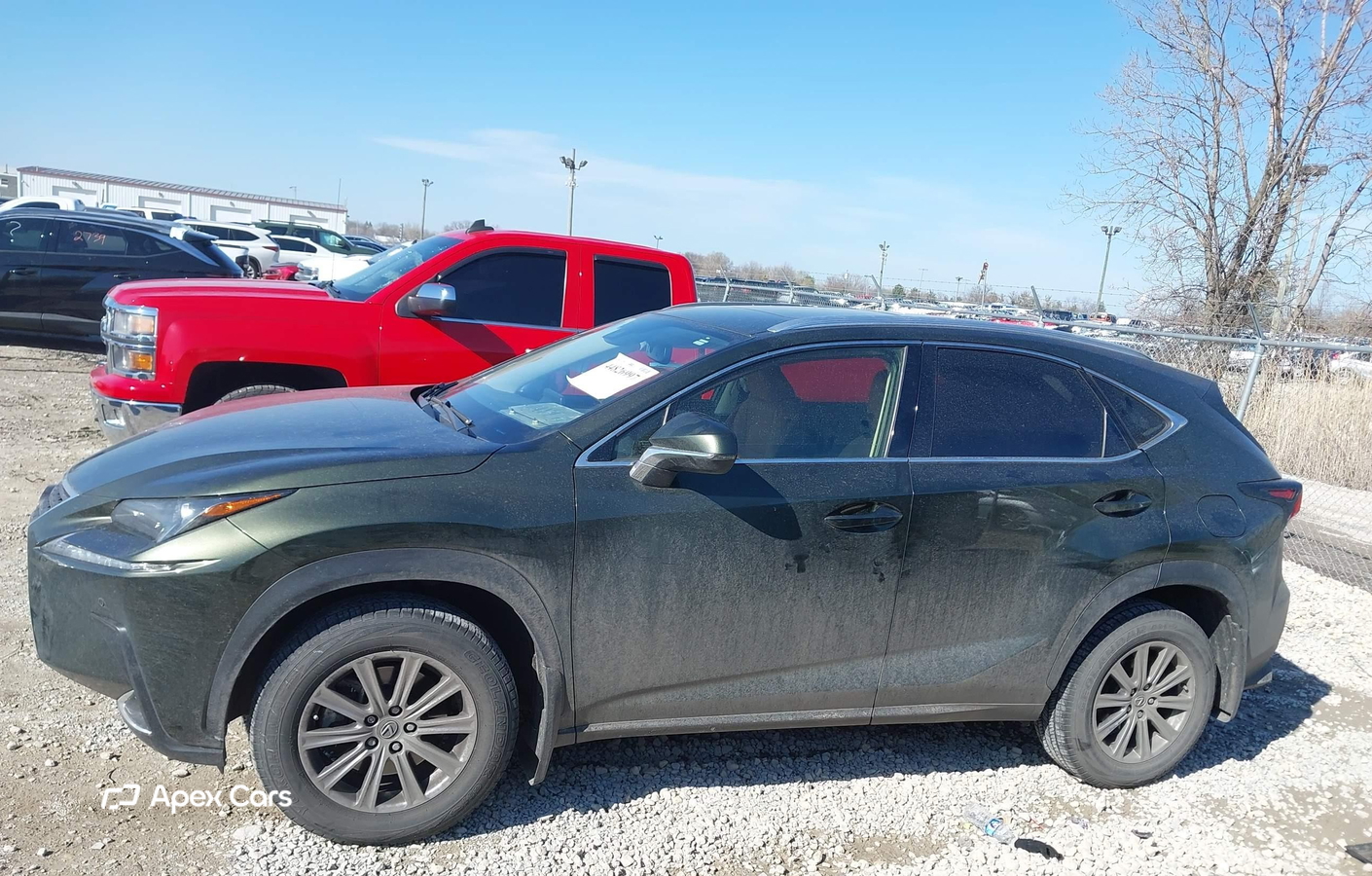 Lexus NX 2021