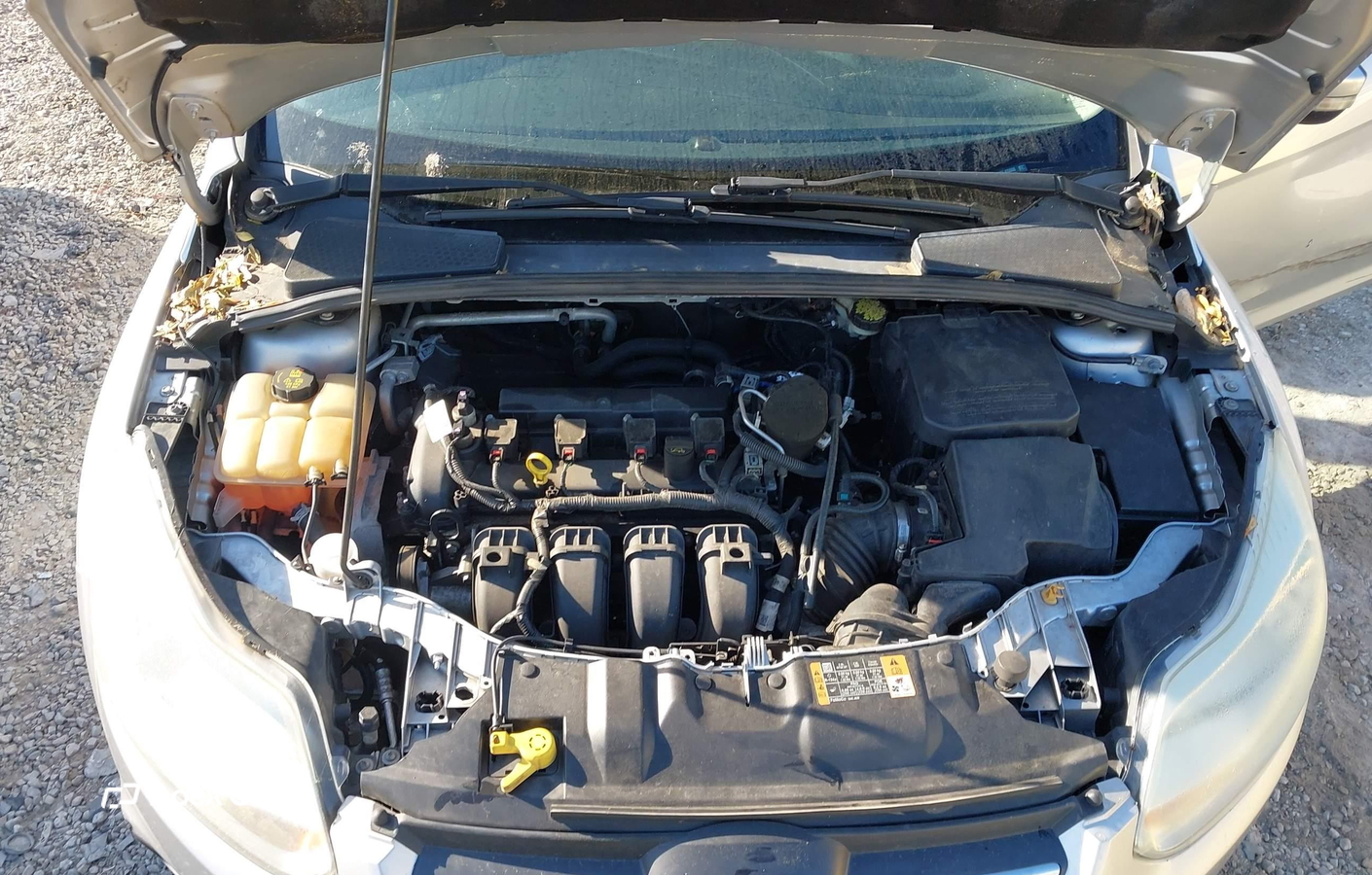 Ford Focus 2014