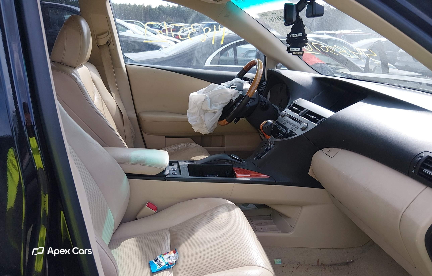 Lexus RX 2010