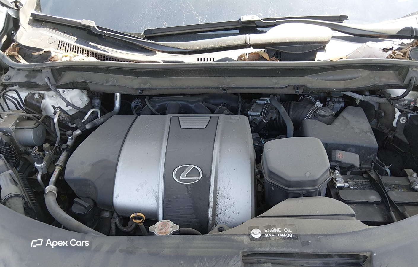 Lexus RX 2021
