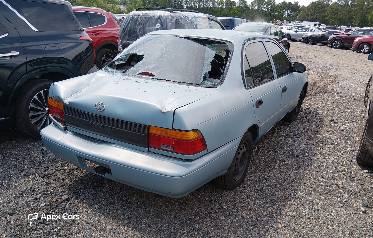 Toyota Corolla 1995