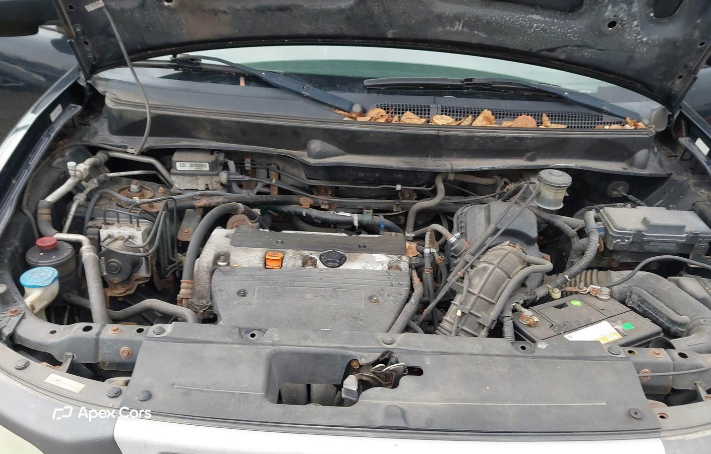 Honda Element 2004
