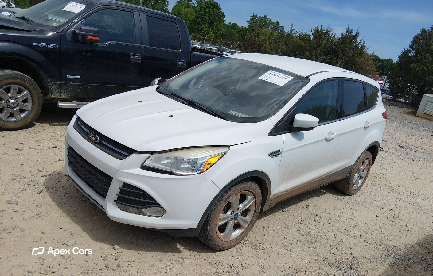 Ford Escape 2013