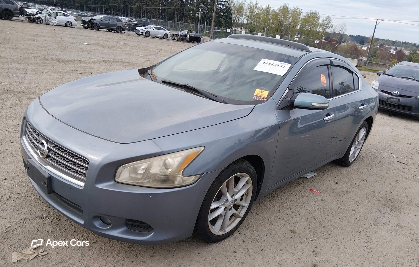 Nissan Maxima 2011