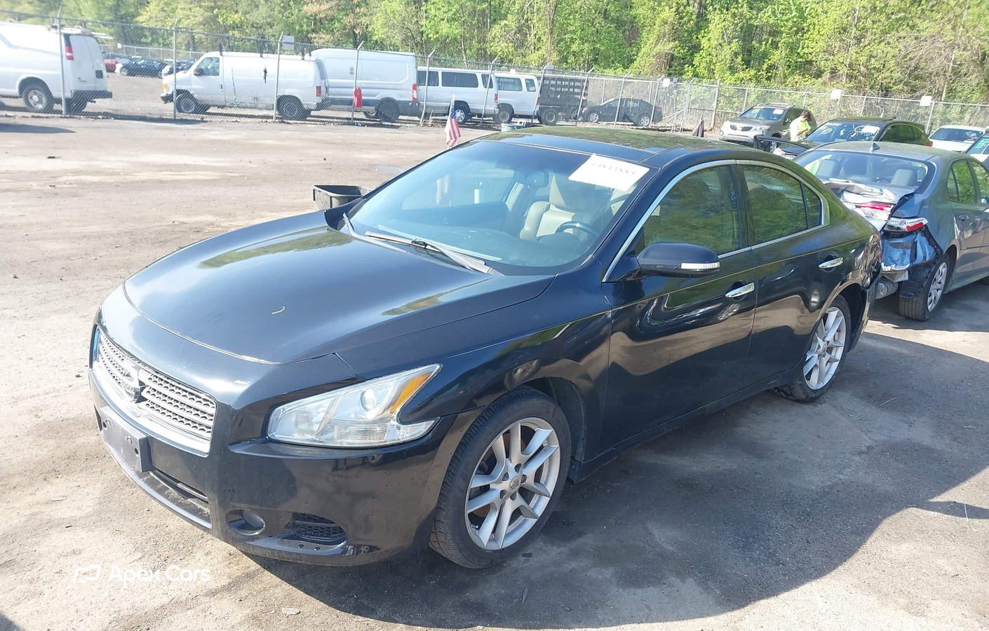 Nissan Maxima 2011
