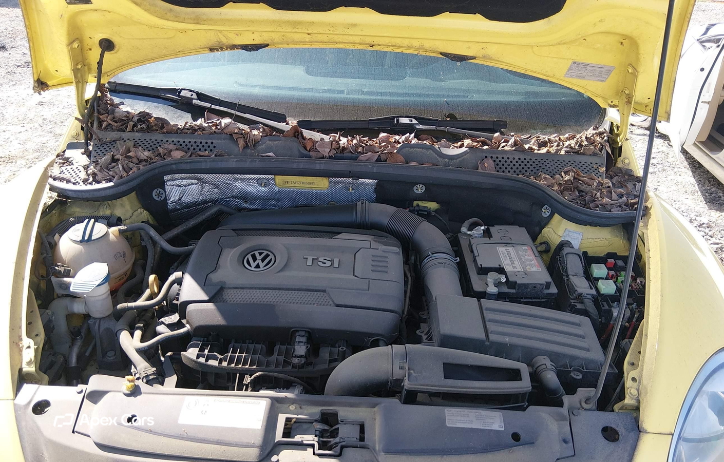 Volkswagen Beetle 2015