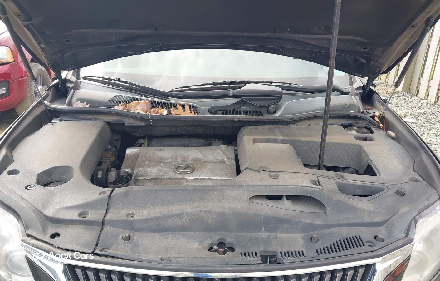 Lexus RX 2010
