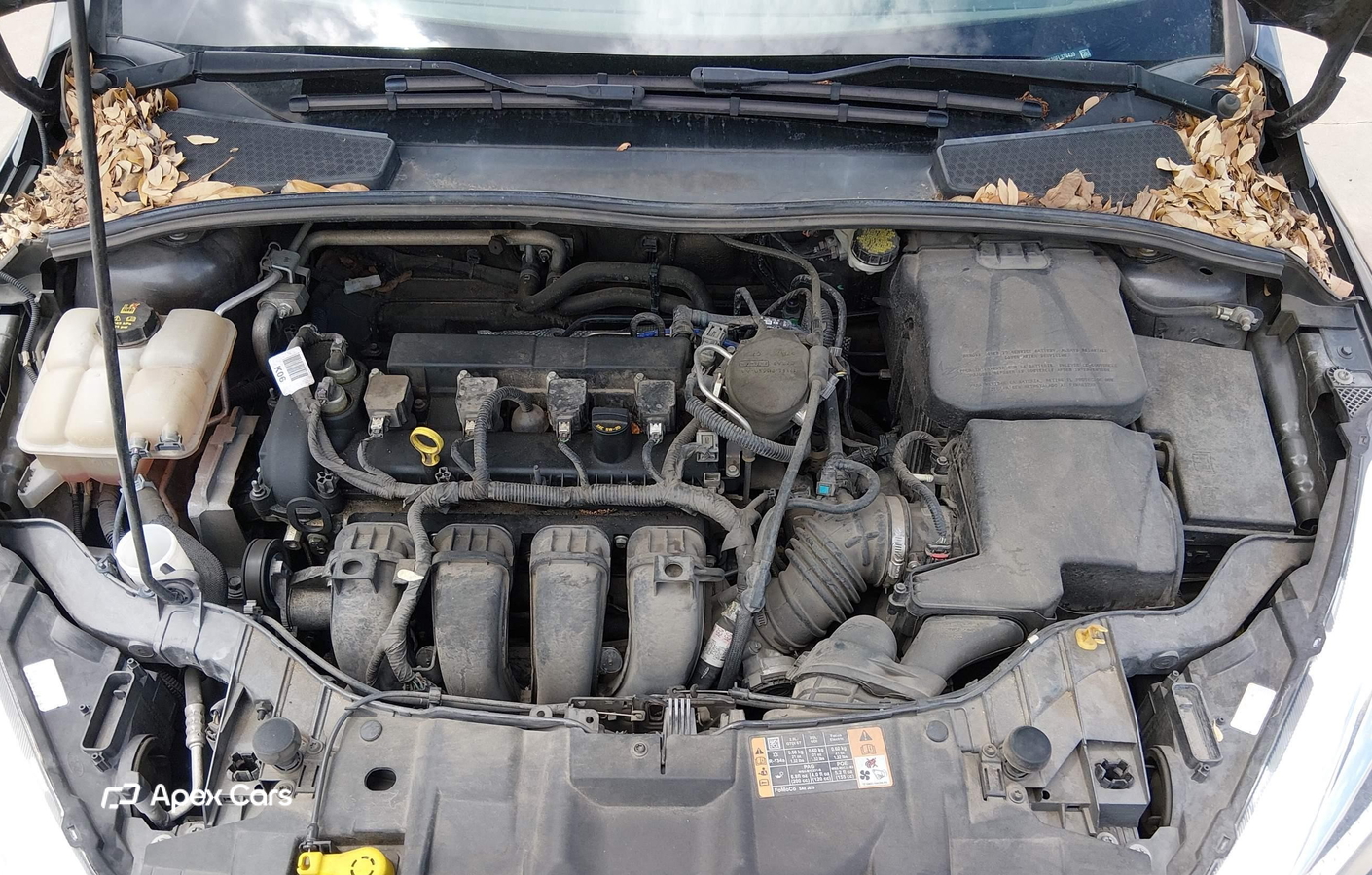 Ford Focus 2015