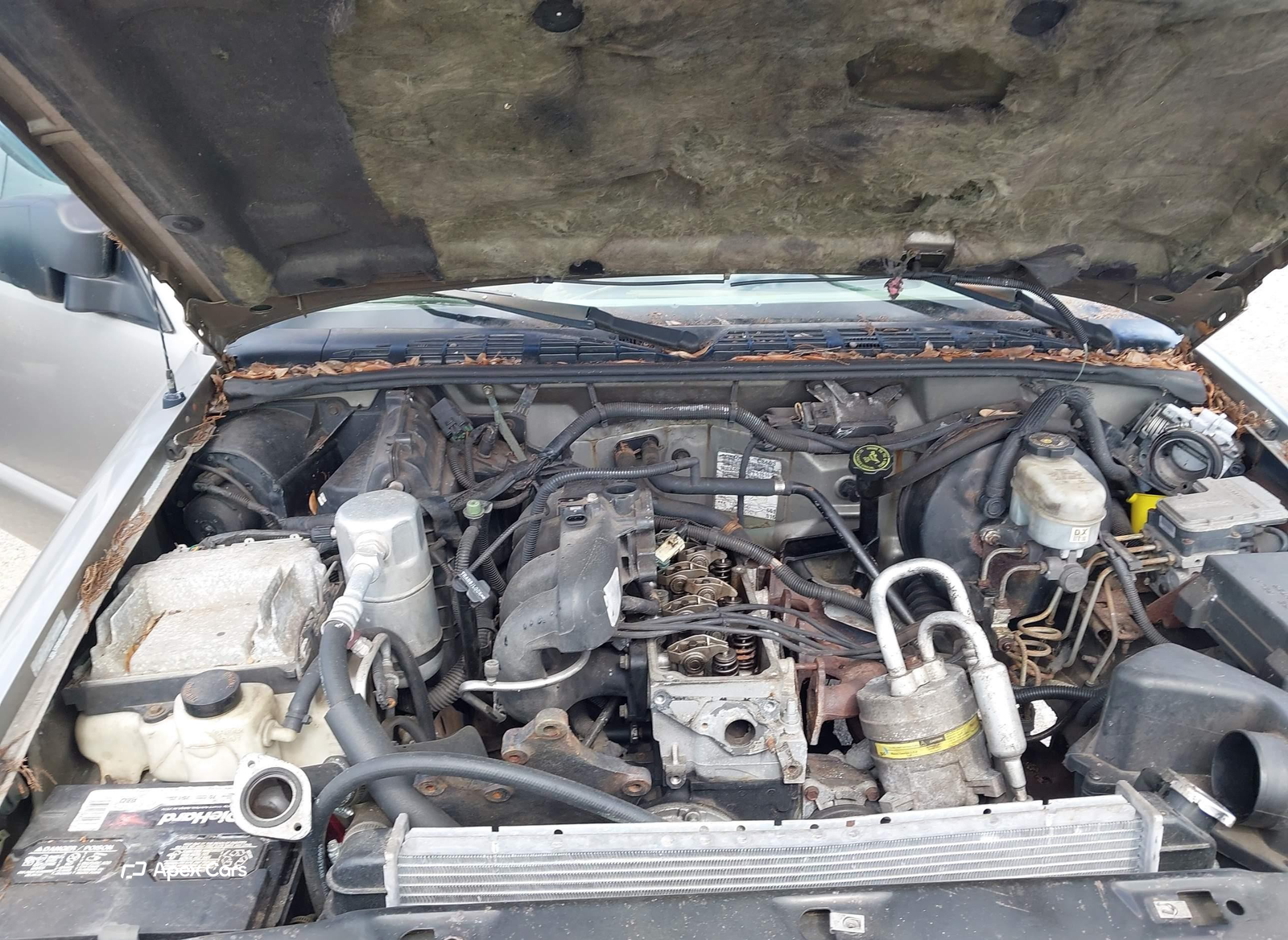 Chevrolet S-10 Pickup 2000