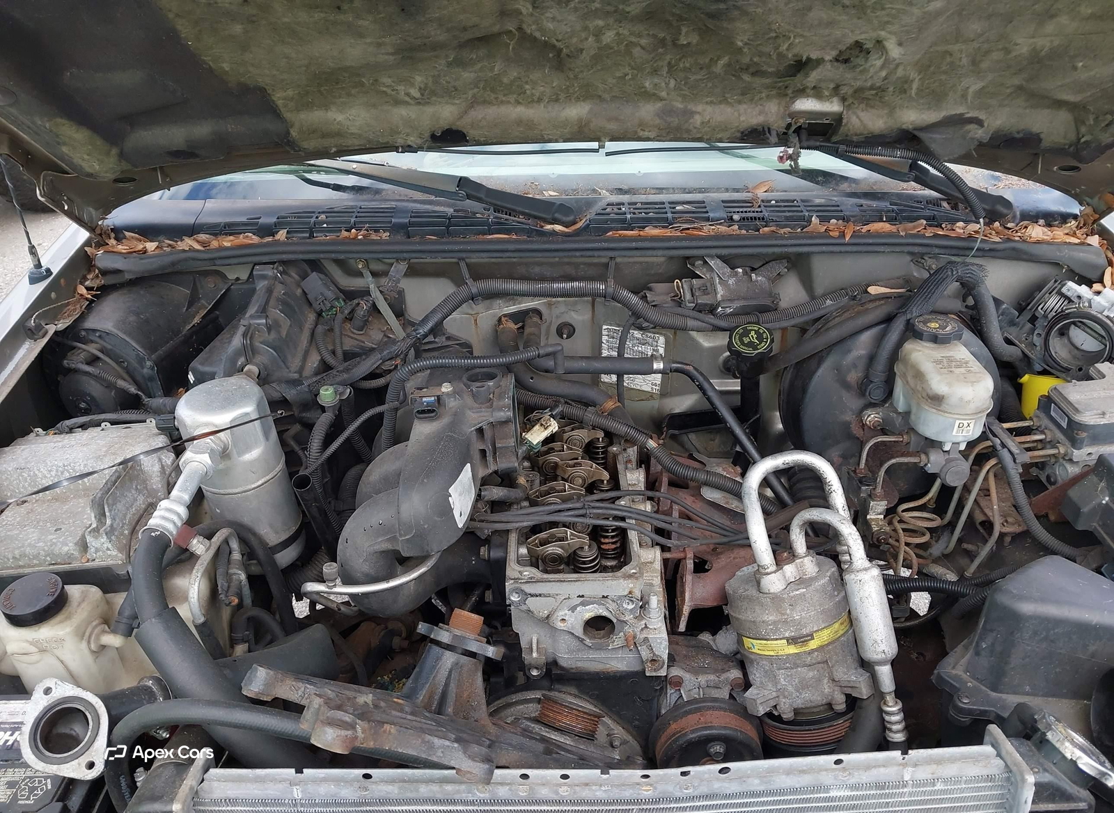 Chevrolet S-10 Pickup 2000