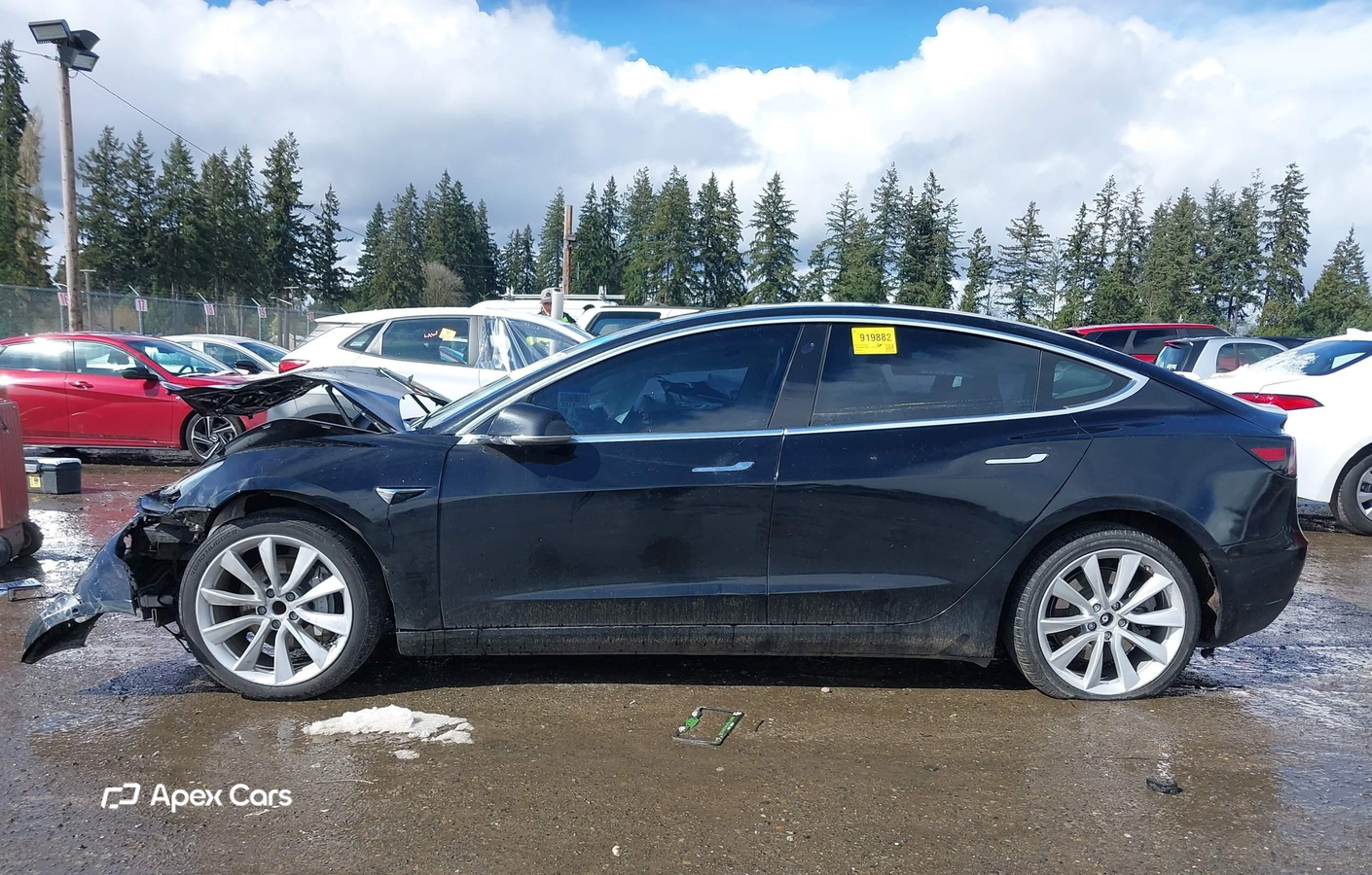Tesla Model 3 2019