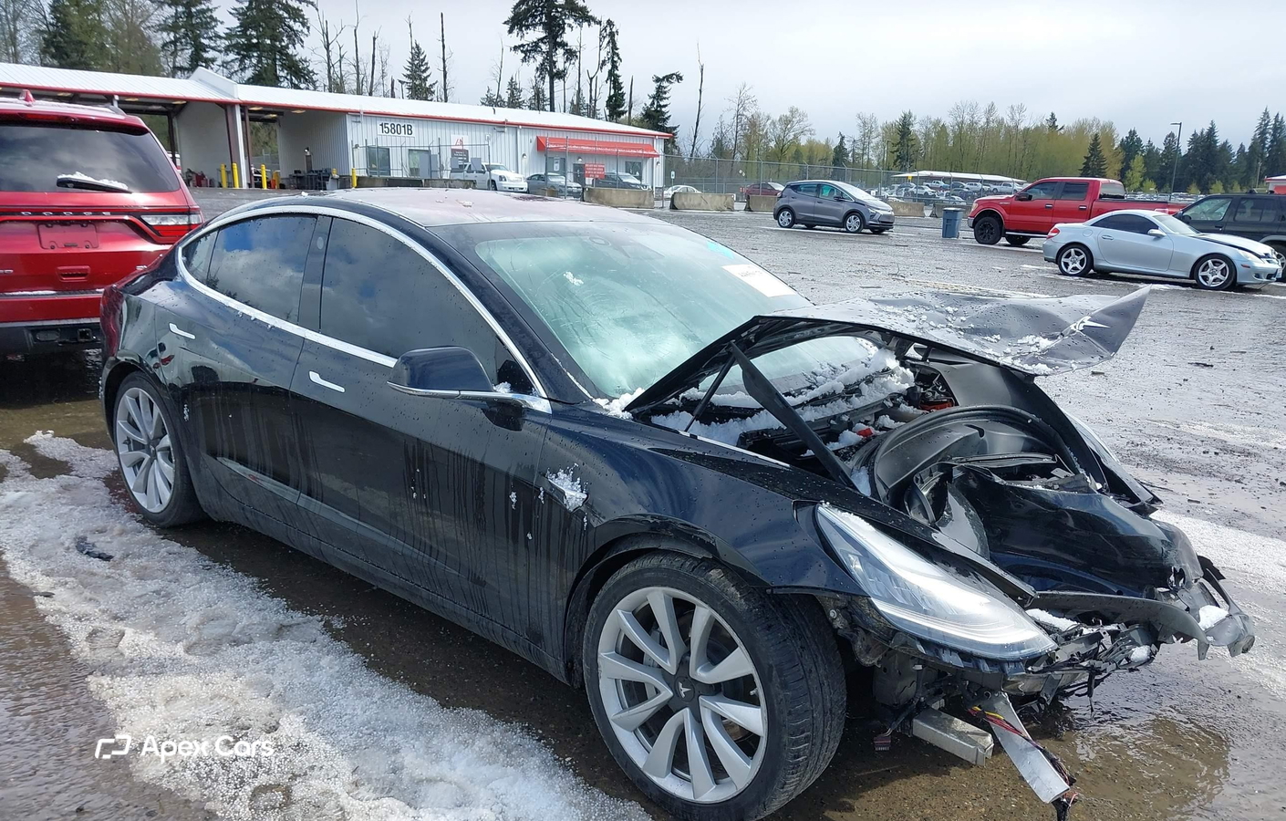 Tesla Model 3 2019