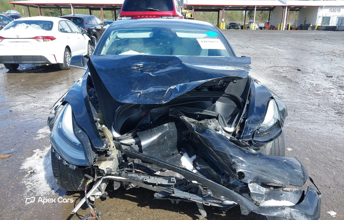 Tesla Model 3 2019