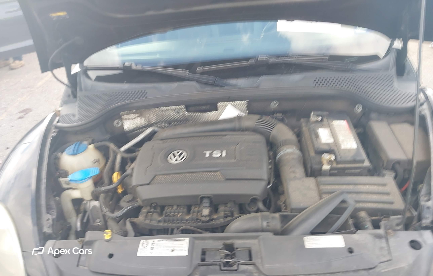 Volkswagen Beetle 2015