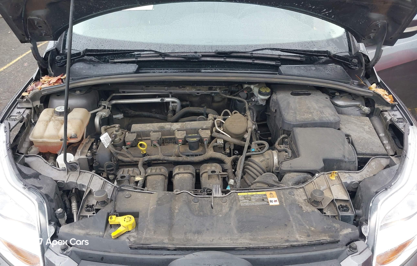Ford Focus 2013