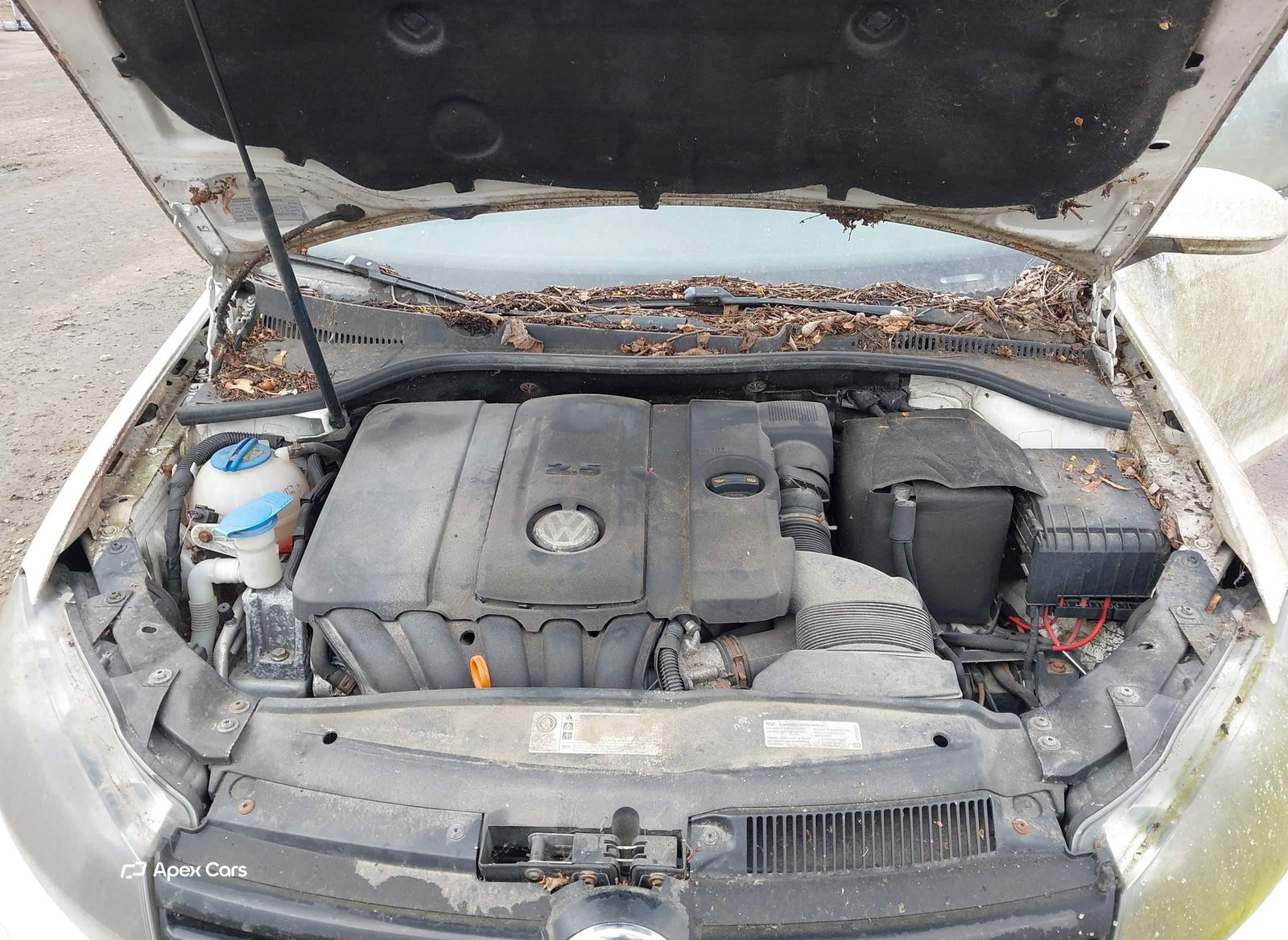 Volkswagen Jetta 2013