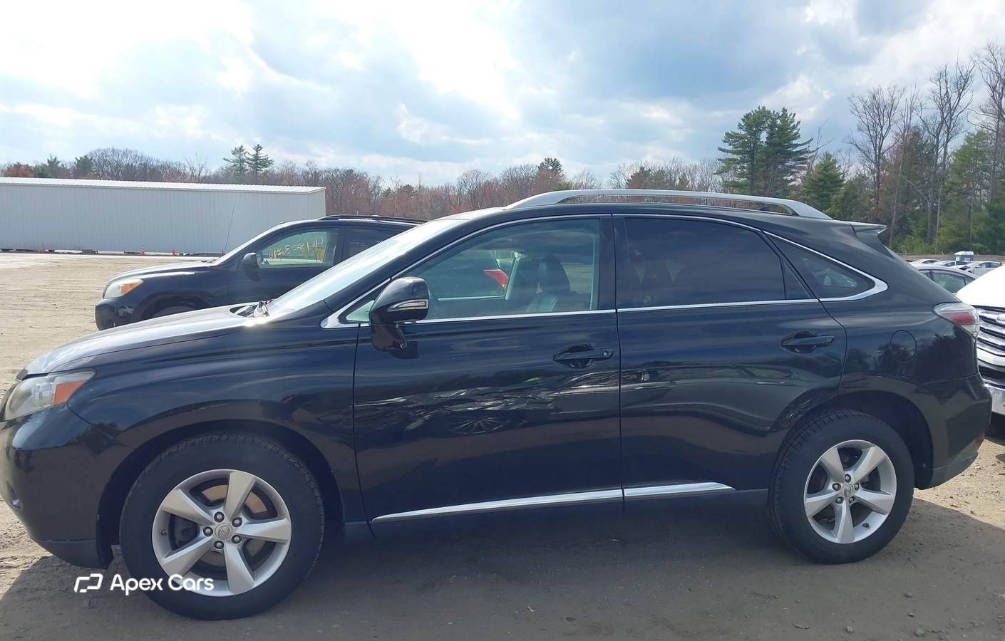 Lexus RX 2010