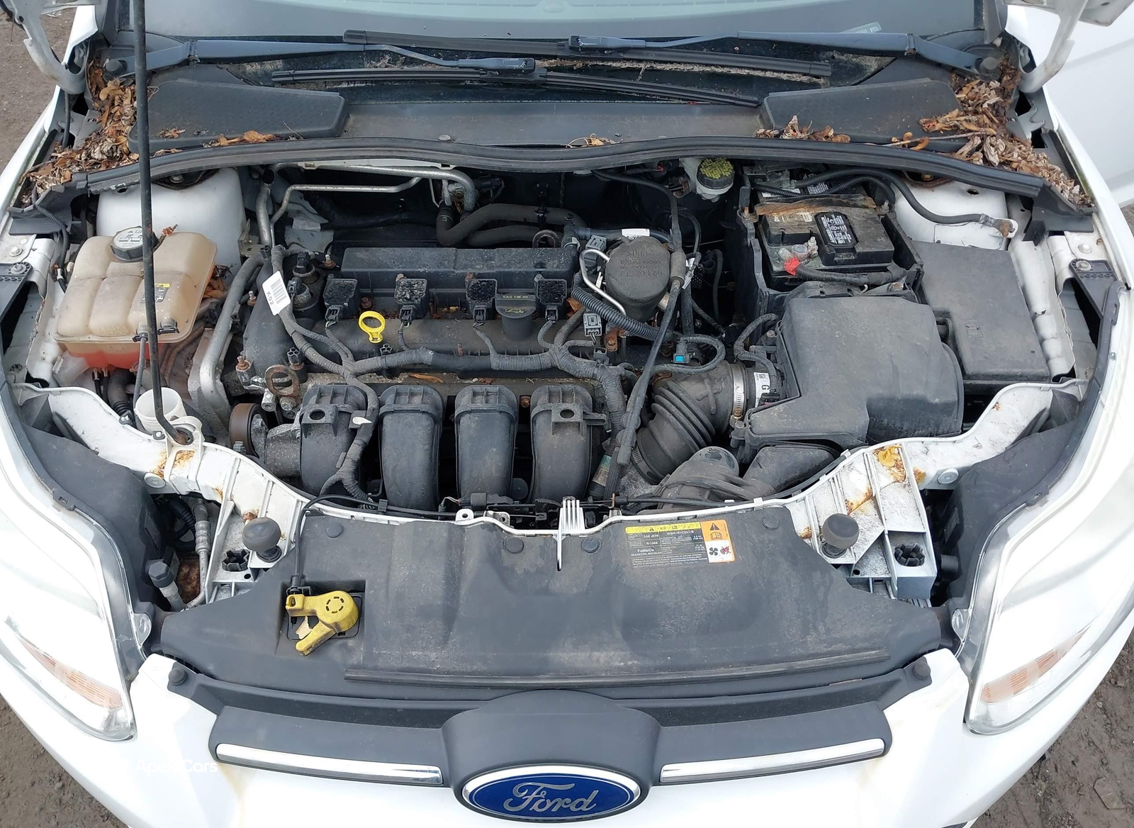 Ford Focus 2012