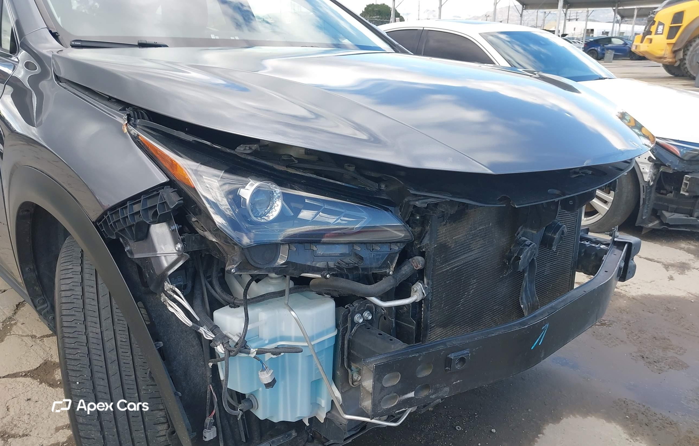 Lexus NX 2019