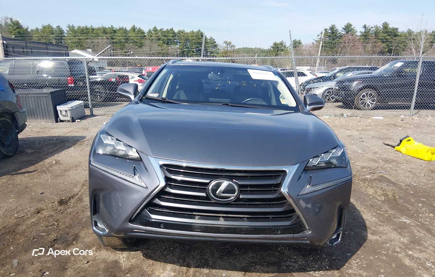 Lexus NX 2015