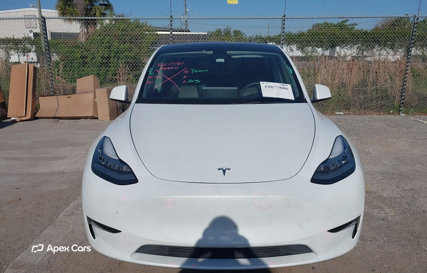 Tesla Model Y 2021