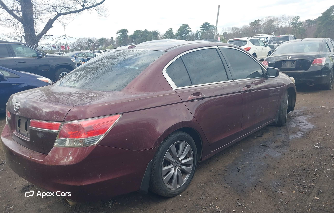 Honda Accord 2011