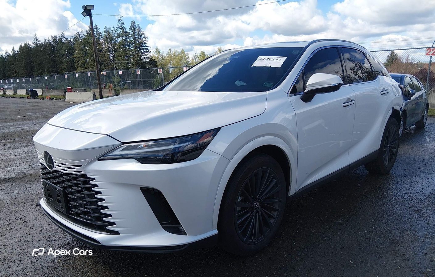 Lexus RX 2025