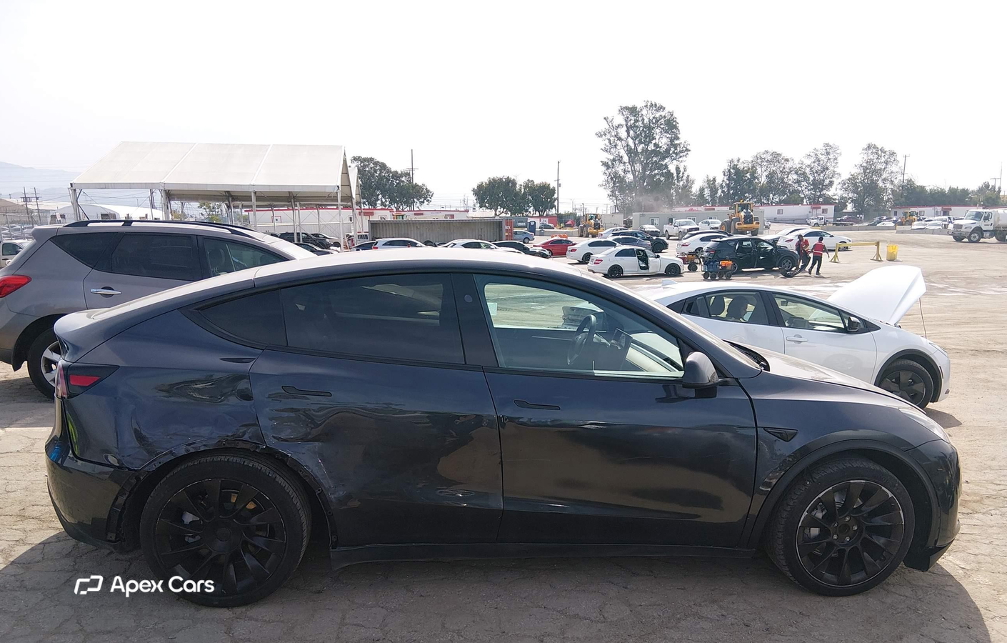 Tesla Model Y 2024