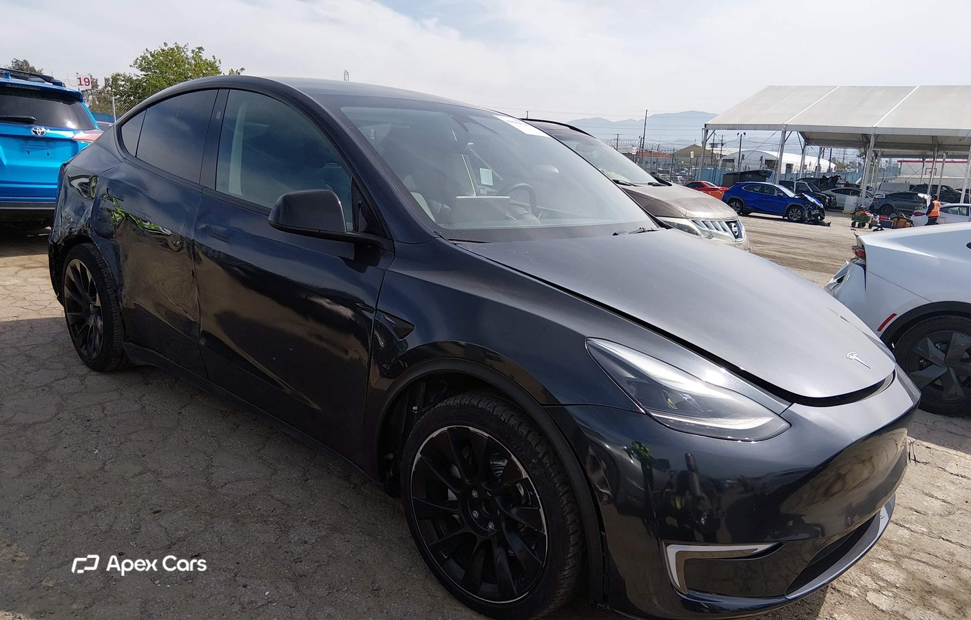 Tesla Model Y 2024