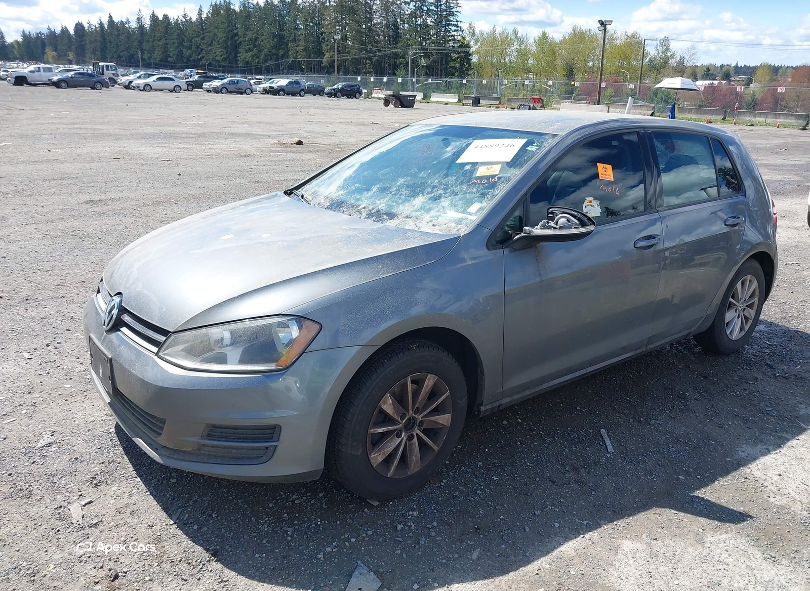 Volkswagen Golf 2015