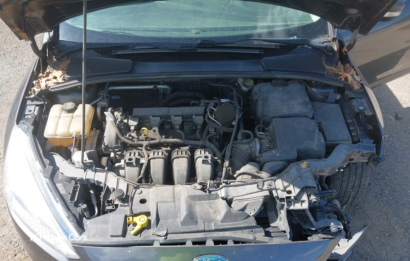 Ford Focus 2016