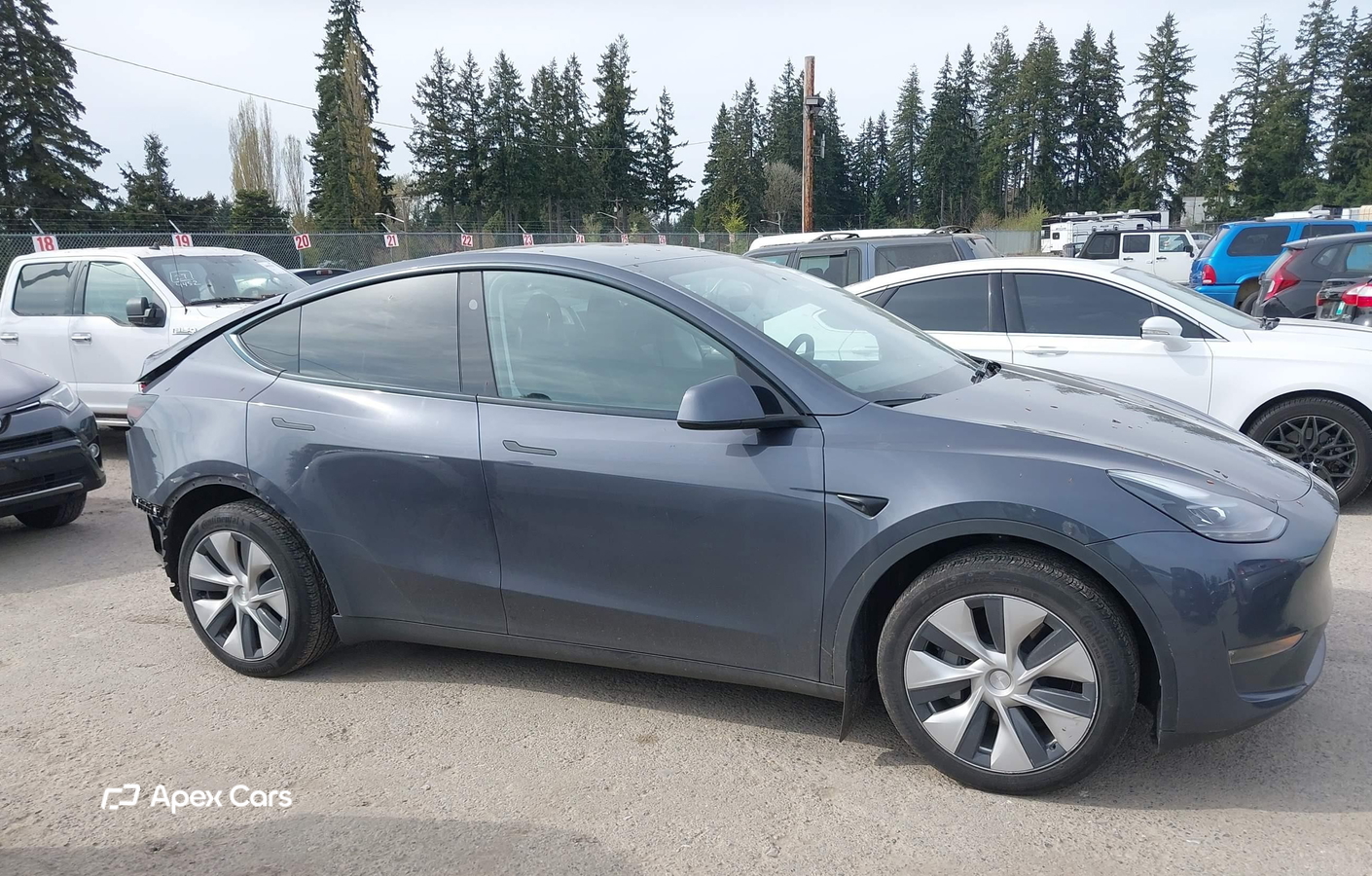 Tesla Model Y 2023