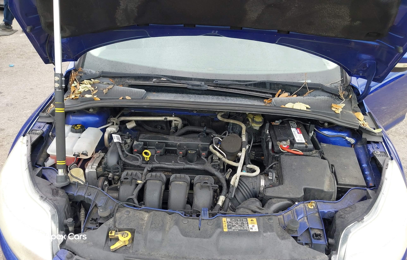 Ford Focus 2014
