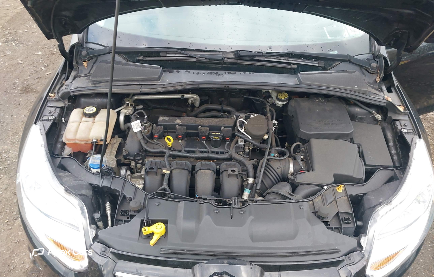 Ford Focus 2012