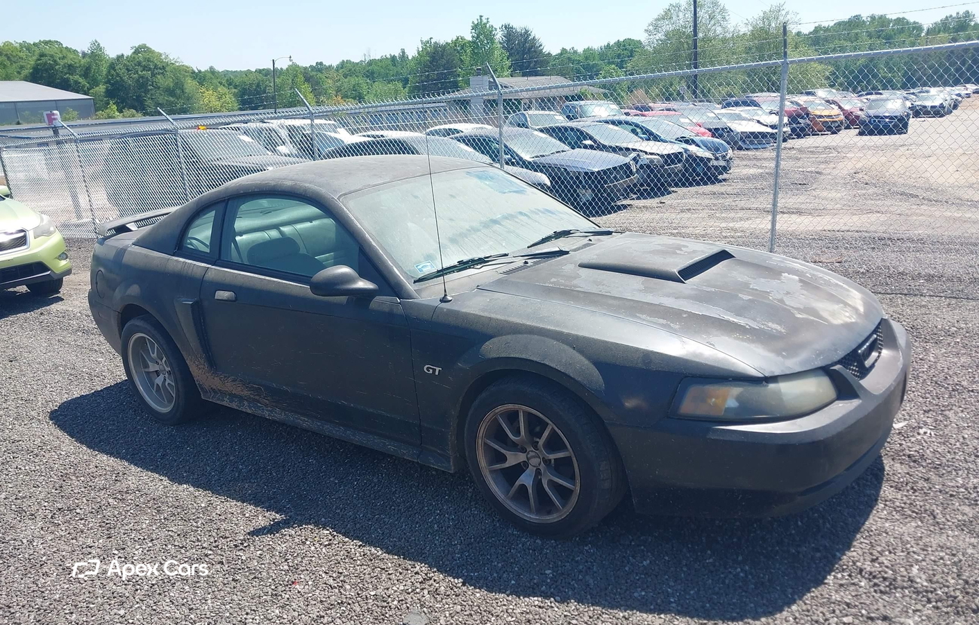 Ford Mustang 2002