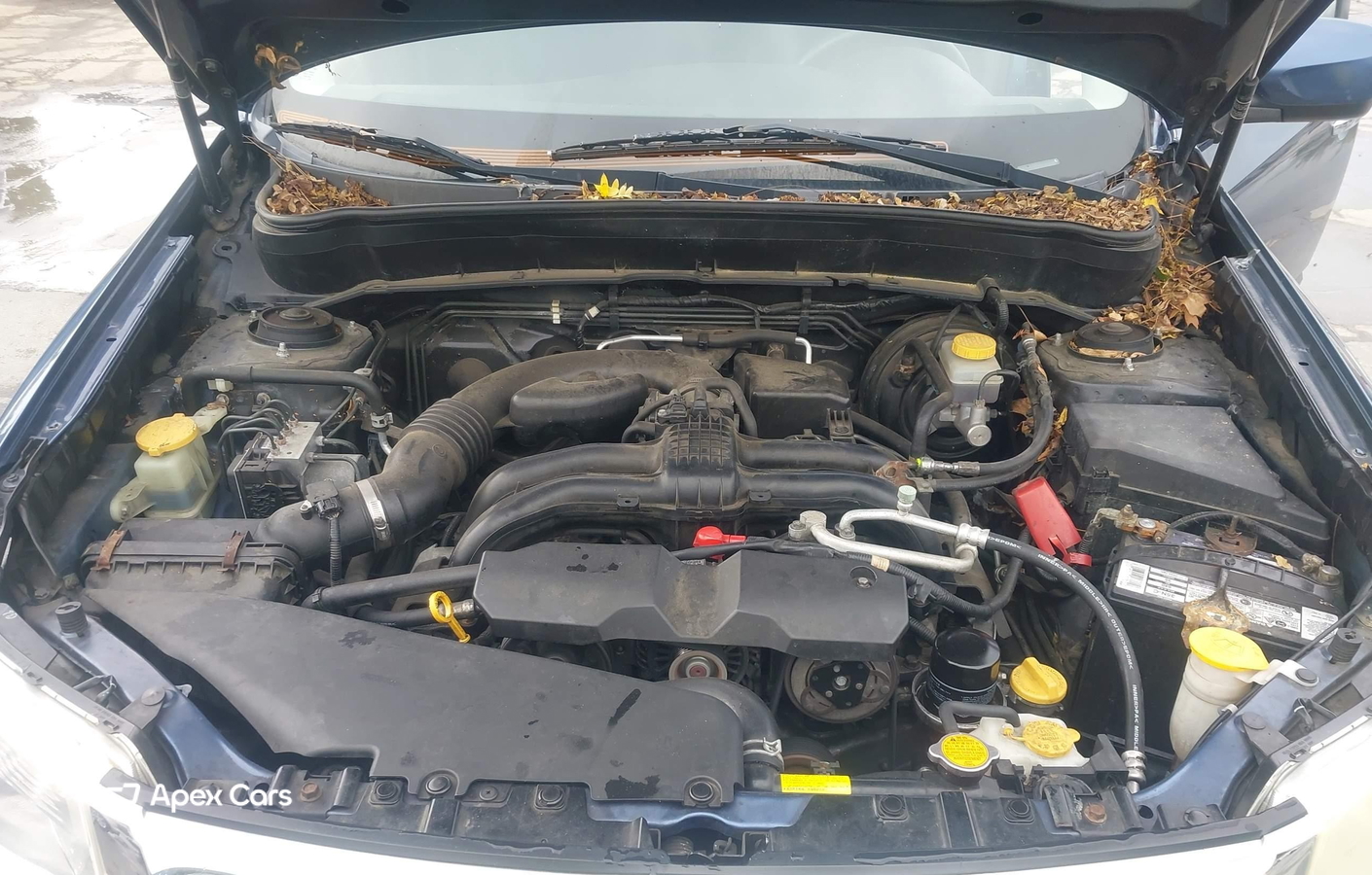 Subaru Forester 2011