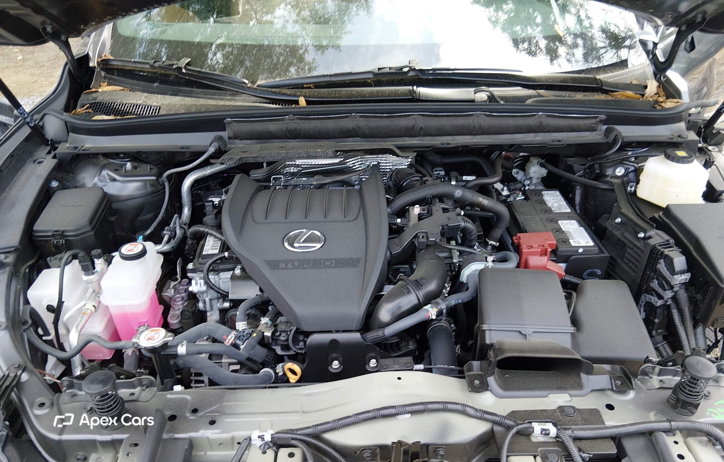 Lexus RX 2025
