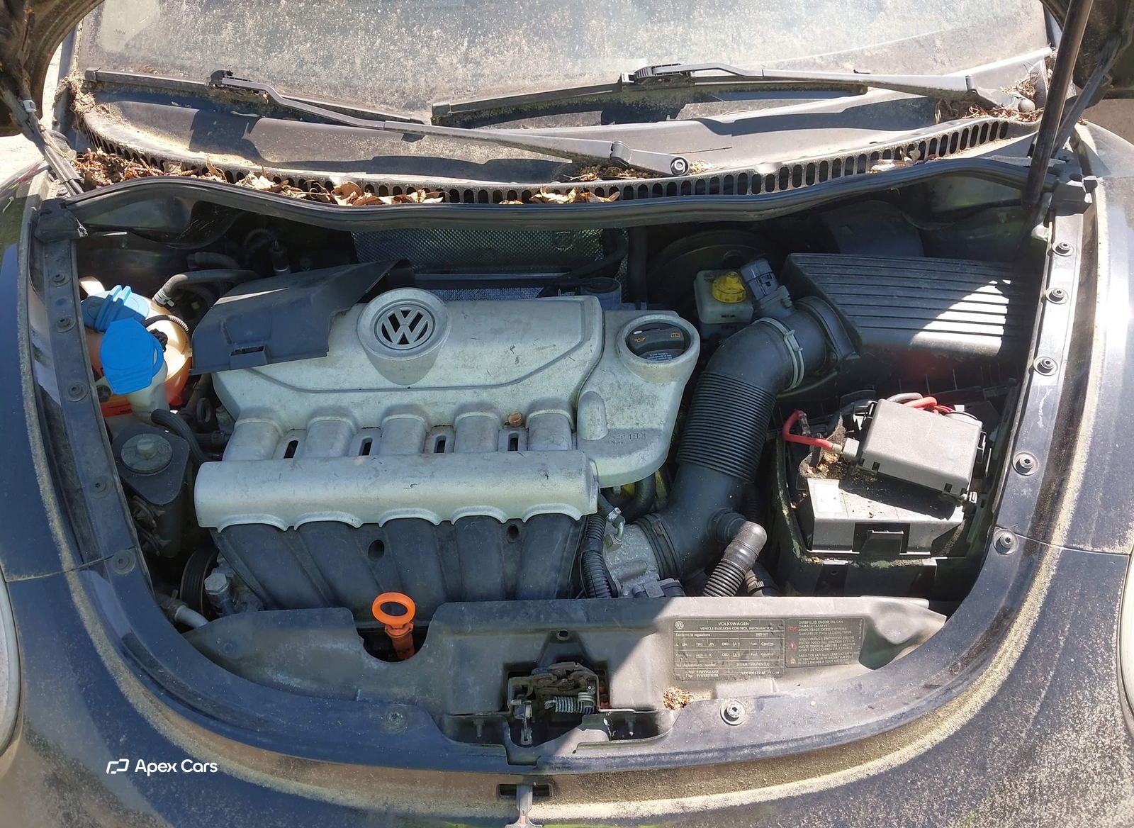 Volkswagen Beetle 2009