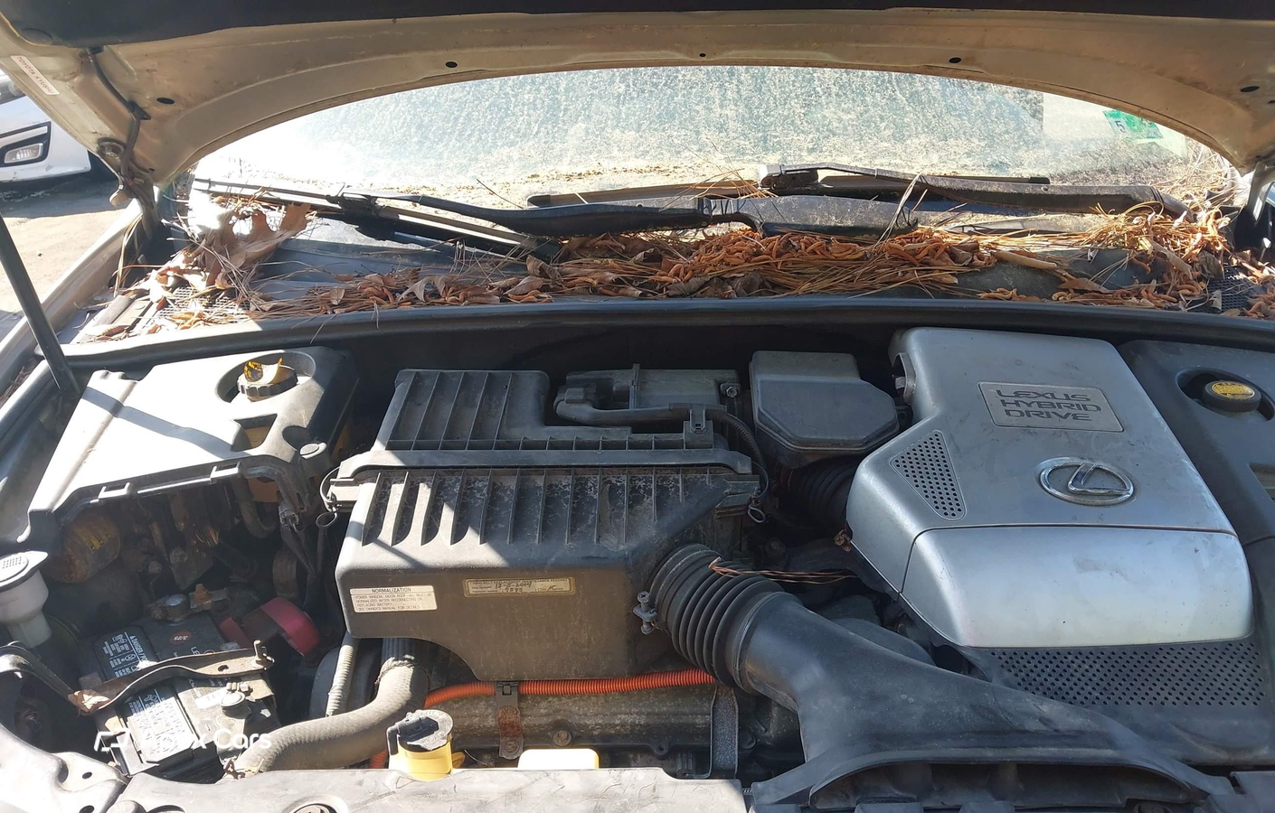 Lexus RX 2007