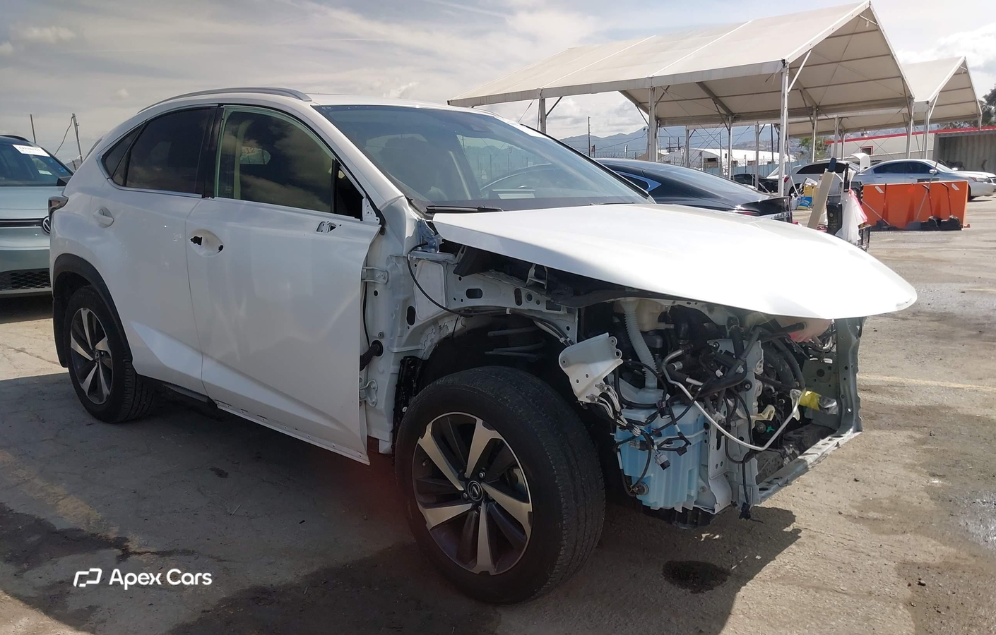 Lexus NX 2021