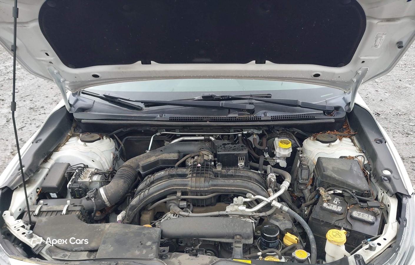 Subaru Impreza 2019