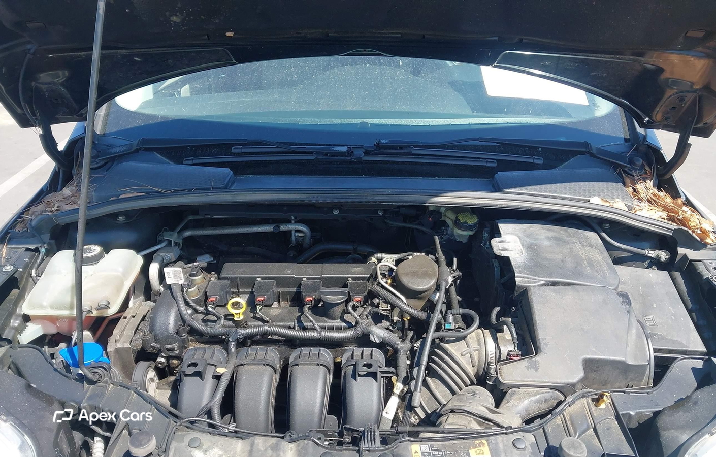 Ford Focus 2014