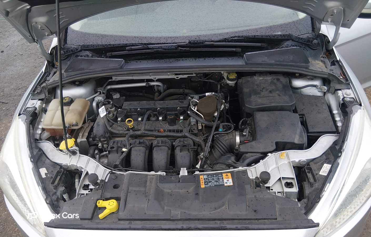 Ford Focus 2015