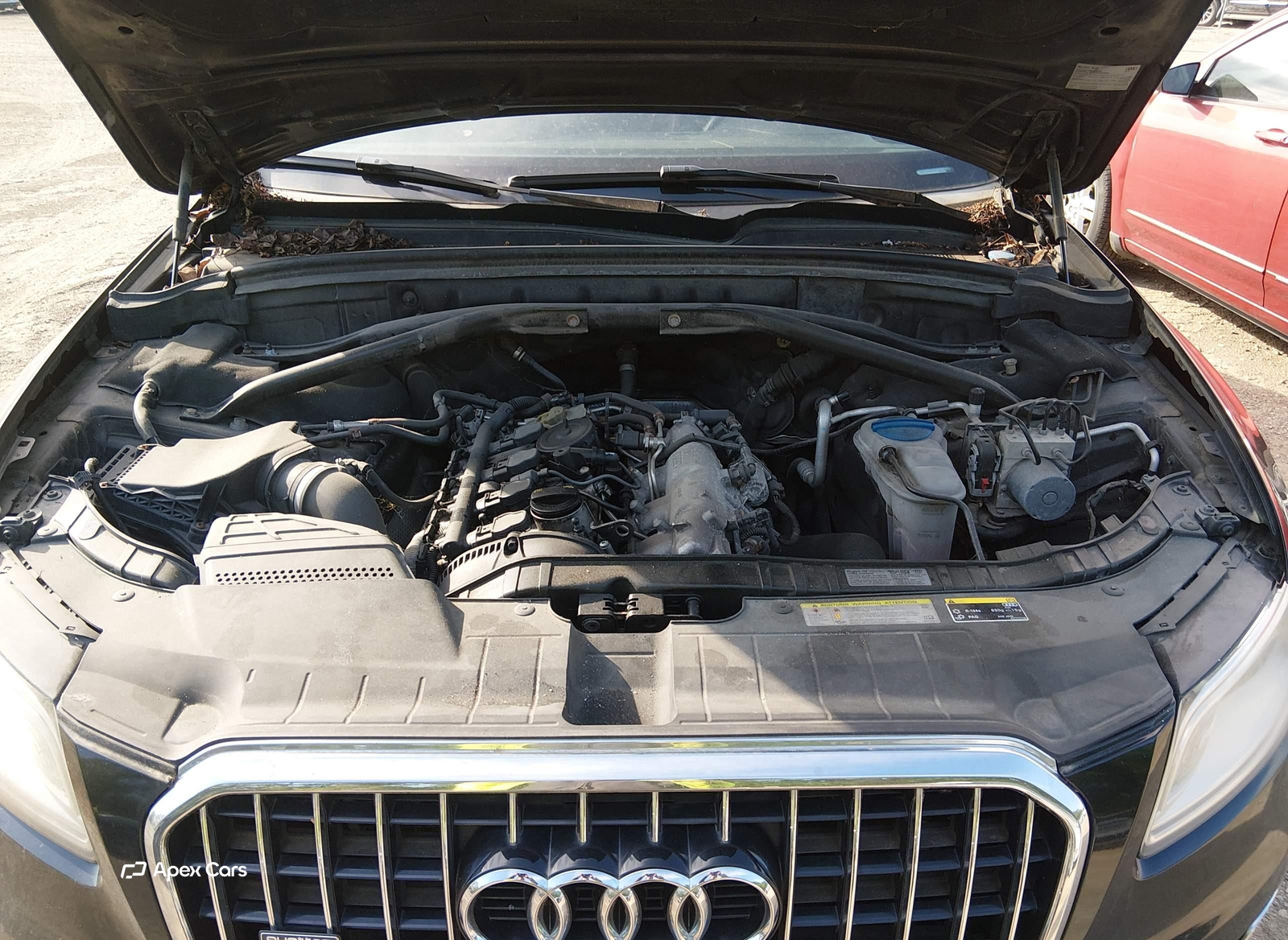 Audi Q5 2013