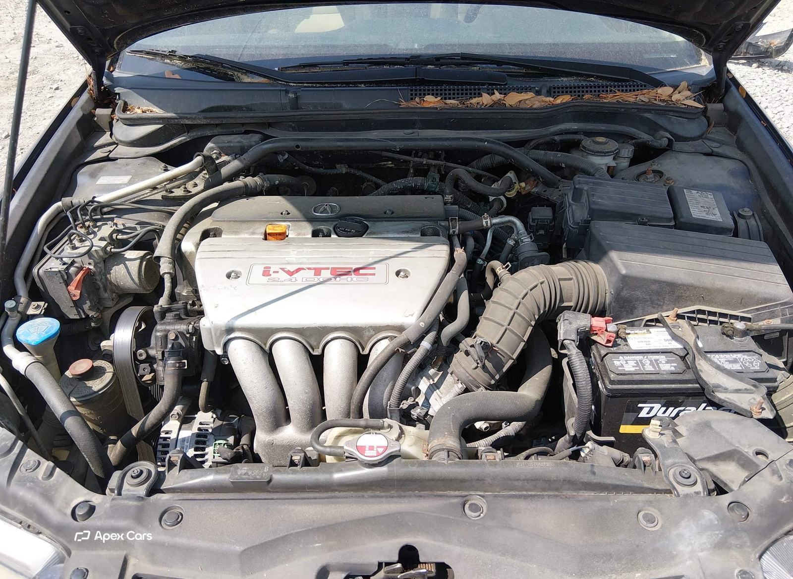 Acura TSX 2008