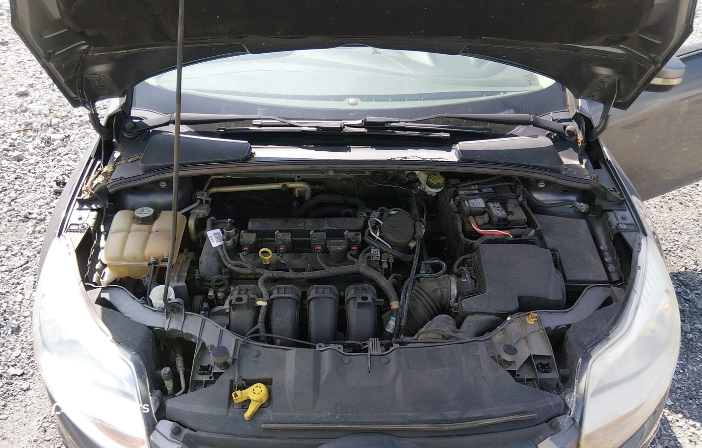 Ford Focus 2013